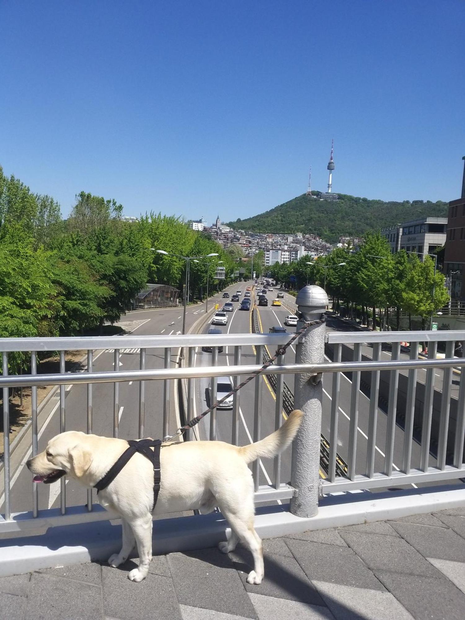 서울특별시 On The Main Street Of Hbc #4 빌라 외부 사진